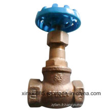 Valve Globe en Bronze